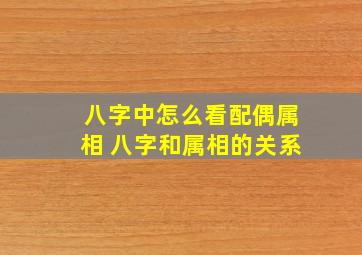 八字中怎么看配偶属相 八字和属相的关系